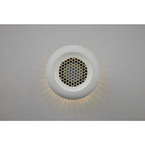 ��Ĺ���ݾ��աۥ��ɡ� cado SAP-003-WH �ۥ磻�� ����æ���� 10���� SAP003WH