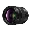 【長期5年保証付】パナソニック Panasonic LUMIX S 24-60mm F2.8 S-E2460 ライカLマウント ズームレンズ SE2460