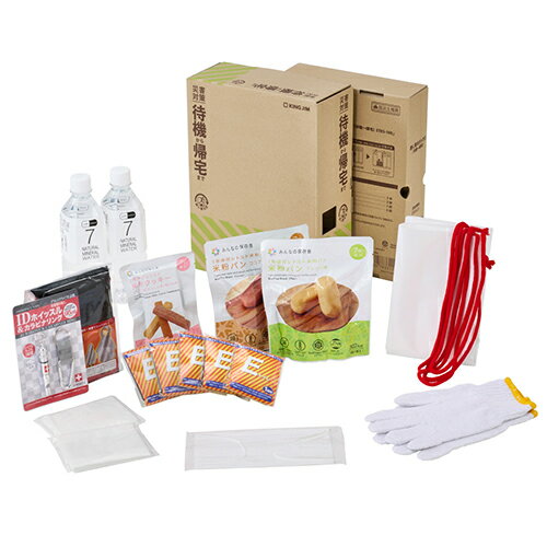 キングジム KING JIM STKS-100 差し替え式 災害対策セット 待機～帰宅 STKS100