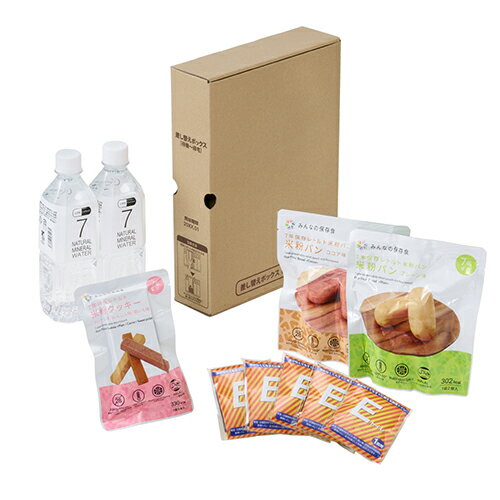 キングジム KING JIM STKS-100-BX 差し替えボックス 災害対策セット 待機〜帰宅 STKS100BX