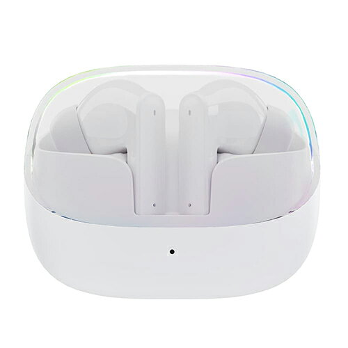 PGA PG-BTE19TW2WH ホワイト 完全ワイヤレスイヤホン アクティブノイズキャンセリ...
