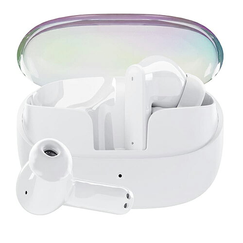 PGA PG-BTE19TW2WH ホワイト 完全ワイヤレスイヤホン アクティブノイズキャンセリ...