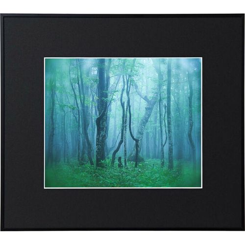 Photo Frame - 【対象ショップ限定 先着フラッシュクーポン】ケンコー Kenko AGY-4-BK ブラック ギャラリー 四切 AGY4BK