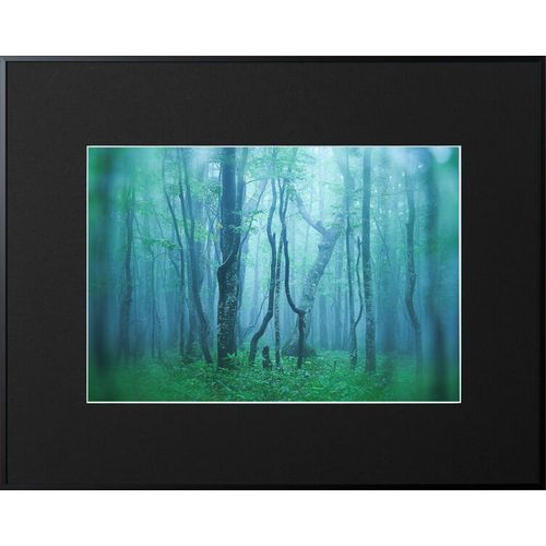 【対象ショップ限定 先着フラッシュクーポン】ケンコー Kenko AGY-W4-BK ブラック ギャラリー ワイド四切 AGYW4BK