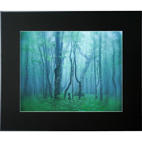 【対象ショップ限定 先着フラッシュクーポン】ケンコー Kenko AGY-Z-BK ブラック ギャラリー 全紙 AGYZBK