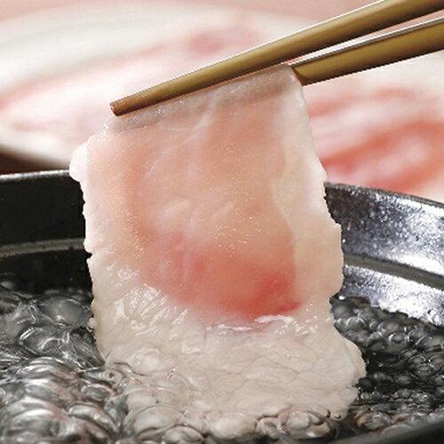 Ĺ�������SPF�ڤ���֤����[����Բ�]