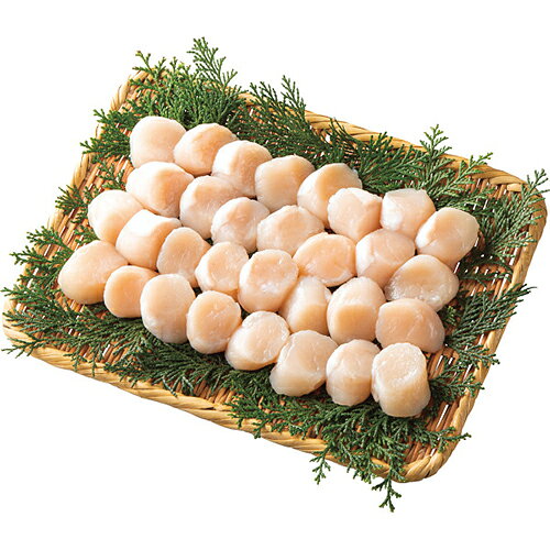 北海道産ほたて貝柱（480g）[代引不可]