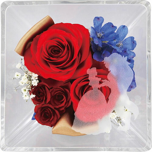 ������ ���ե� ���ƥ�ͥ�ե롼�� �ǥ����ˡ��ץ�󥻥�(���������) ��ˤ� ���֤� ���ڻ� �ͤ��碌 ���å� ������ �л���ˤ� �뺧��ˤ� ������� ��...