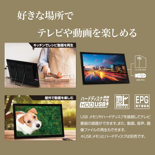 ダイヤモンドヘッド OT-CT190TE 19...の紹介画像3