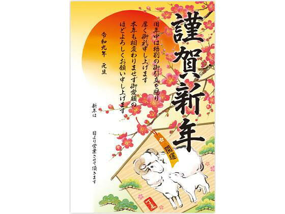 ↑↑↑正確な在庫状況は上記バナー「在庫状況を確認する」をクリックして頂き、必ずご確認ください。&nbsp;&nbsp;新年、会社や店舗などに掲示する年賀ポスター季節品の為、在庫限りとなります。感謝の気持ちをこめて、新年のご挨拶を。お正月の休みに、会社や店舗などに掲示する年賀ポスターです。大きなサイズで目を引きます。ドアや壁に貼り付けてご使用ください。人気の干支絵馬柄で、新年の挨拶を彩ります。2027年度（令和9年）用です。※日にちを記入するだけで、簡単に営業開始日をお知らせできます。●入数：5枚袋入●サイズ：縦775mm×横530mm●材質：コート紙（157g／m2）※メーカーの都合により、パッケージ・仕様等は予告なく変更になる場合がございます。　