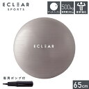 エレコム ELECOM HCF-BB65GY グレー バランスボール 65cm HCFBB65GY