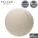 エレコム ELECOM HCF-BBC65BE ベージュ バランスボールファブリックカバー 65cm HCFBBC65BE