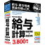 BSLシステム研究所 かるがるできる給料20 給与計算・明細印刷+賃金台帳