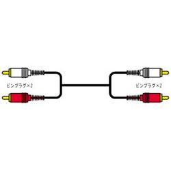 JVC CN-5100G ピンプラグ ×2 ⇔ ピンプラグ ×2 10m CN5100G