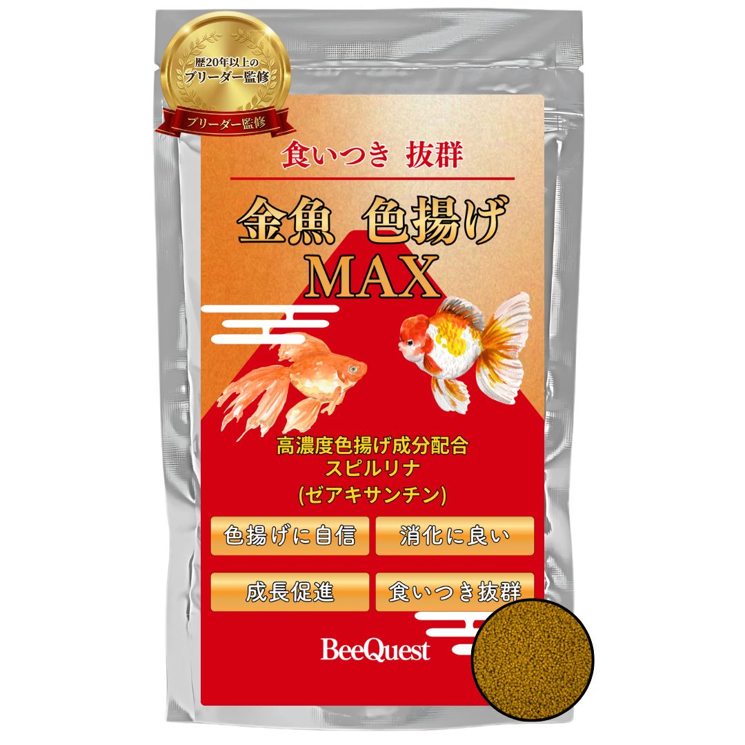 金魚の餌 中粒 70g 金魚 色揚げMAX スピルリナ ゼアキサンチン 高濃度配合 沈下性 ペレット 消化吸収 腸内細菌 免疫力 成長促進 観賞魚 アクアリウム 琉金 ピンポンパール らんちゅう 出目金【BeeQuest】