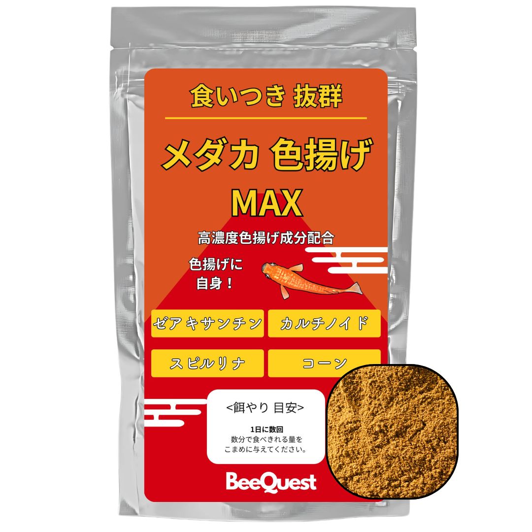 メダカの餌 色揚げMAX 極小粒 (70g:針子/稚魚~成魚まで) 色揚げ特化 高栄養 食い付き良し 緋メダカ 楊貴妃 紅帝 テトラ 浮上性 メダカのエサ メダカ餌 メダカ 色揚げ 餌 成魚 稚魚の餌 ヒメダカ 稚魚エサ えさ 徳用 コスパも良し 成魚まで可能