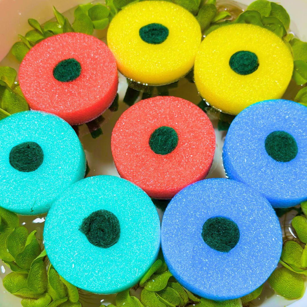 【BeeQuest】メダカ 産卵床 8個入り 抗菌 研磨剤不使用 カビ防止 孵化率UP 産卵率UP 繰り返し使える 水..