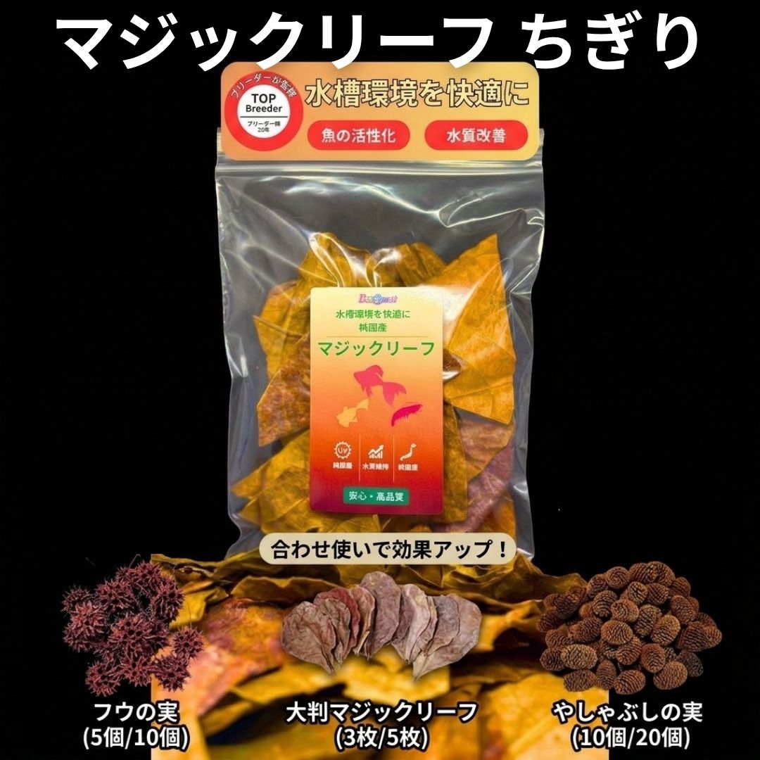 楽天市場】マジックリーフの通販