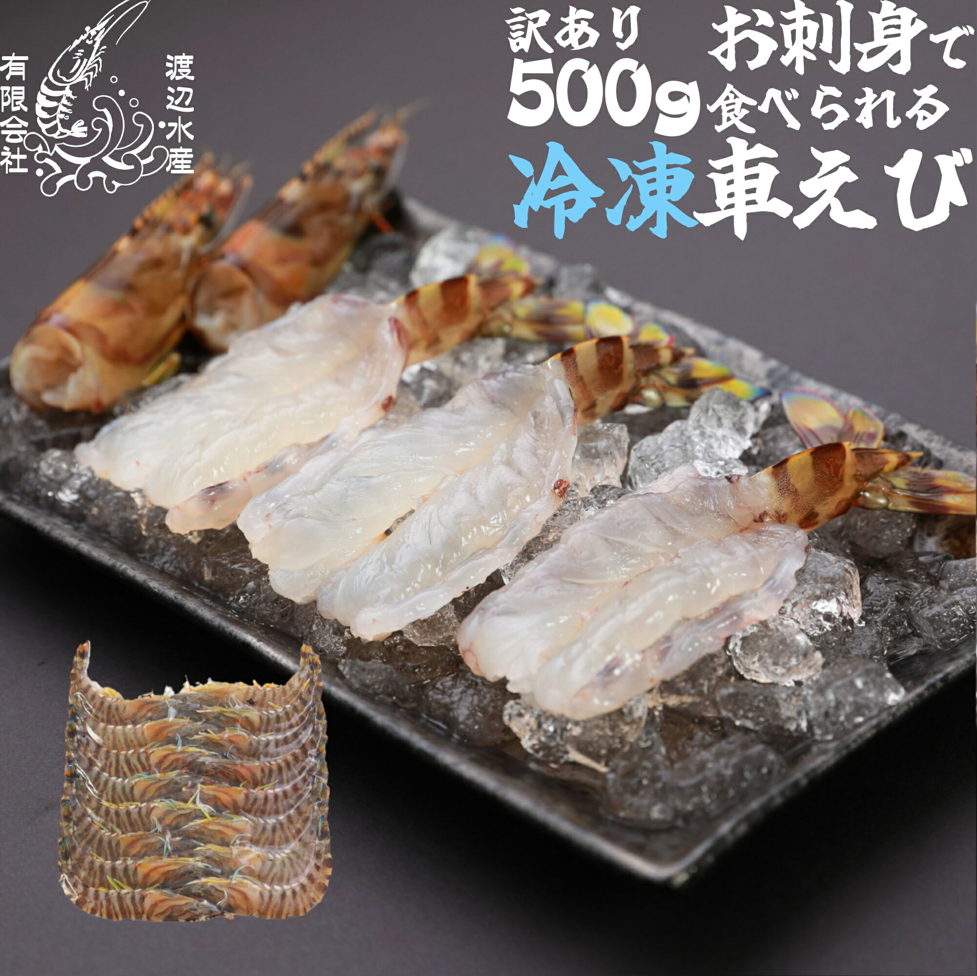 Rakuten - 【生食用】活き〆超急速冷凍車えび500g 山口県産 秋穂 車海老 訳あり 自宅用 お徳用 お刺身 500g 瞬間冷凍 養殖 父の日