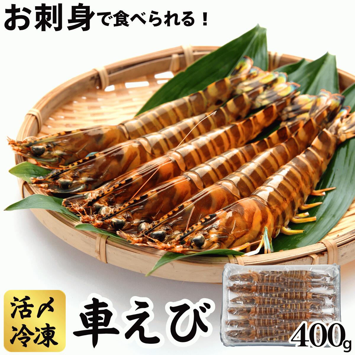 秋穂の車エビ