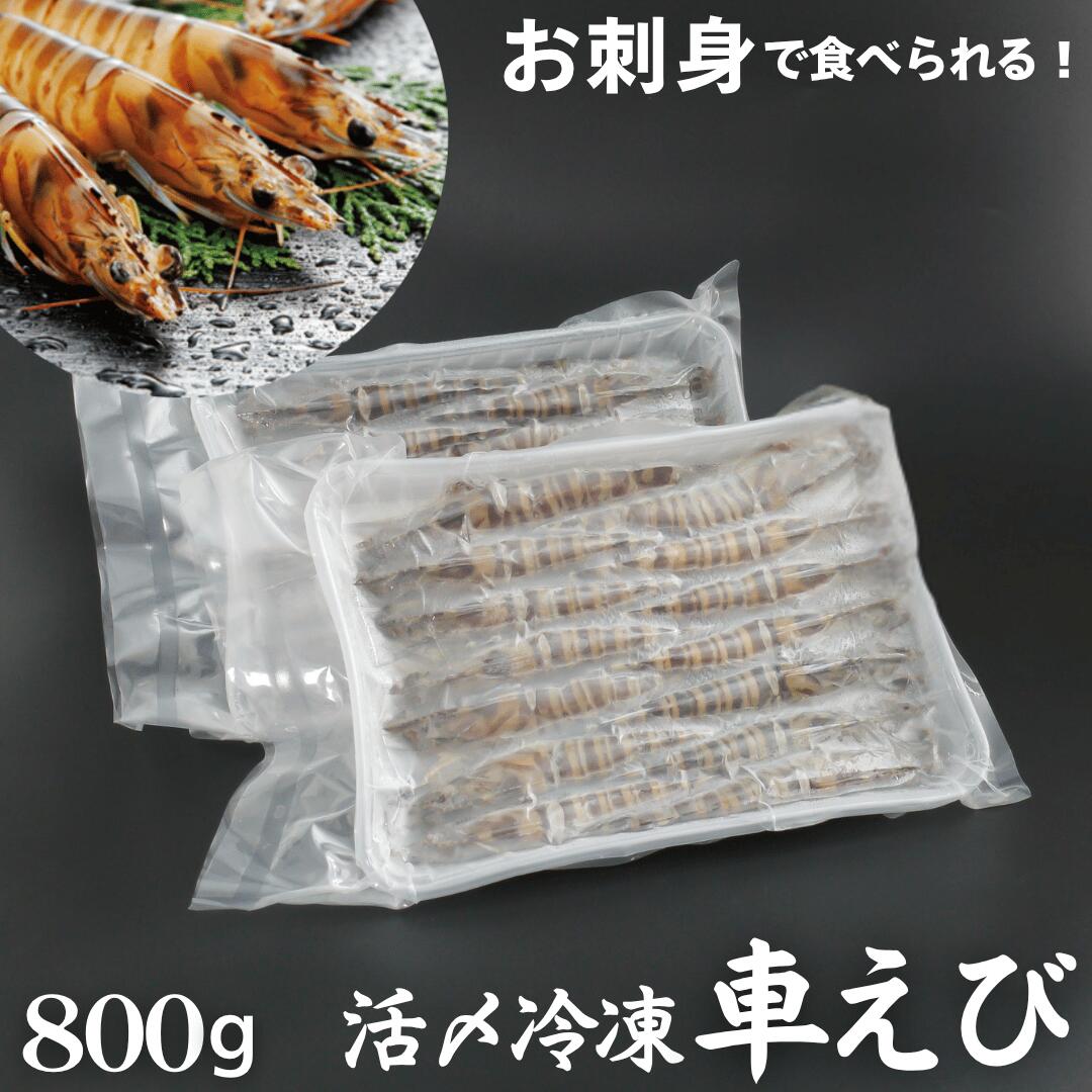 車海老 秋穂 【活き〆超急速冷凍】 【800g 24-30尾入】 刺身 送料無料 お中元 車エビ 車えび 産直 BBQ お得 自宅 自分 活き〆超急速冷凍車えび 焼き フライ 塩焼き 山口県 山口市 秋穂 養殖 クルマエビ 渡辺水産 直売所 旬 食べ方 ギフト 産地直送 400g 2個