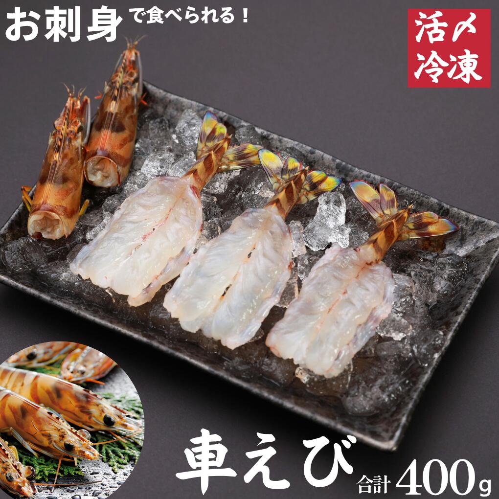 秋穂の車エビ