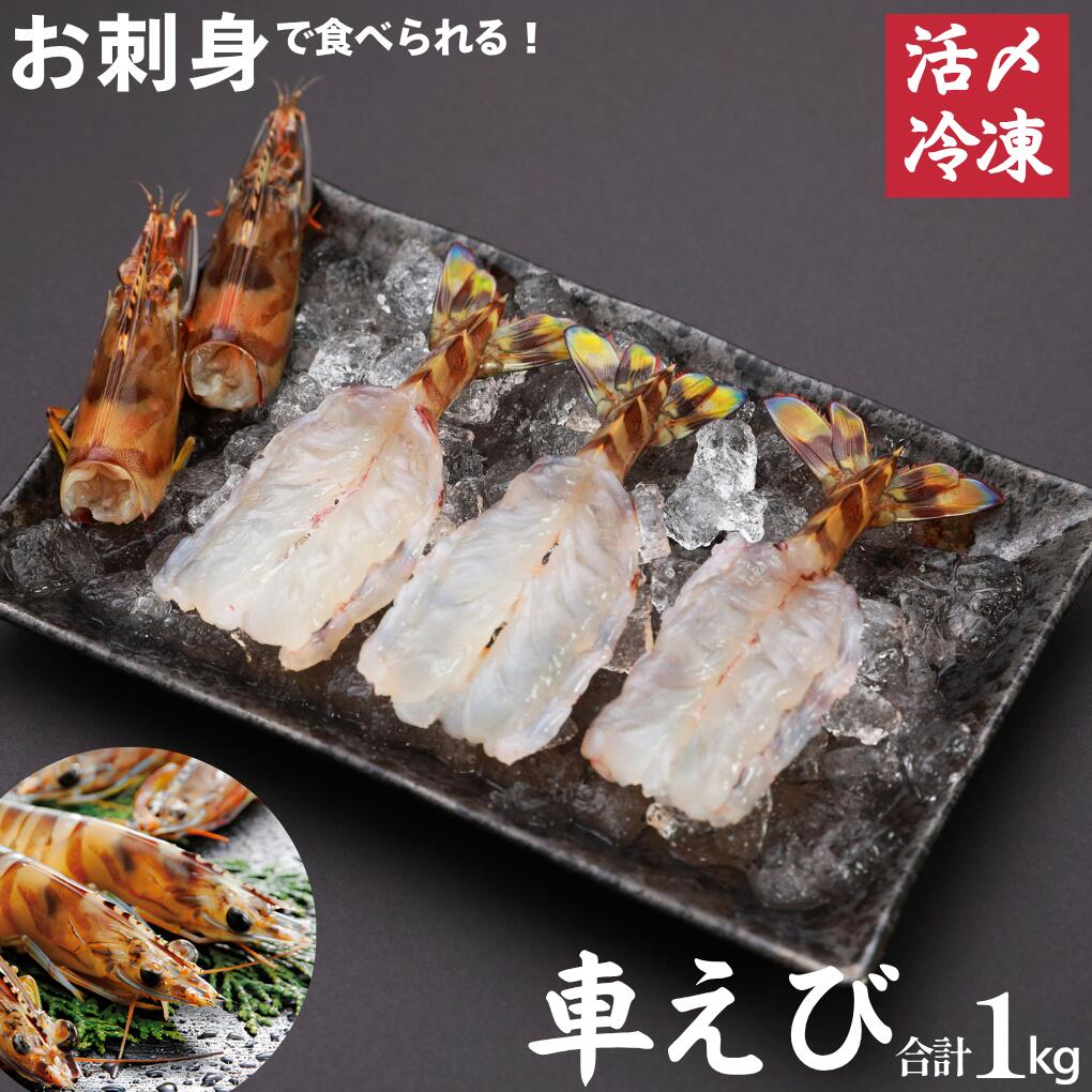 名称 活き〆超急速冷凍車えび(養殖) 原材料 車海老　養殖(山口県産) 内容量 1kg 産地名 山口県秋穂産 養殖・解凍 解凍 消費期限 別途商品ラベルに記載 保存方法 冷凍(-18℃以下)で保存してください。 加熱調理の必要性 解凍後生食でお召し上がりいただけます。 加工事業者名 渡辺水産有限会社 山口県山口市秋穂二島437番地 栄養成分表示(100g)当たり 熱量:90Kcal、タンパク質:21.6g、脂質:0.6g、炭水化物:0g、食塩相当量:0.4g ※推定値