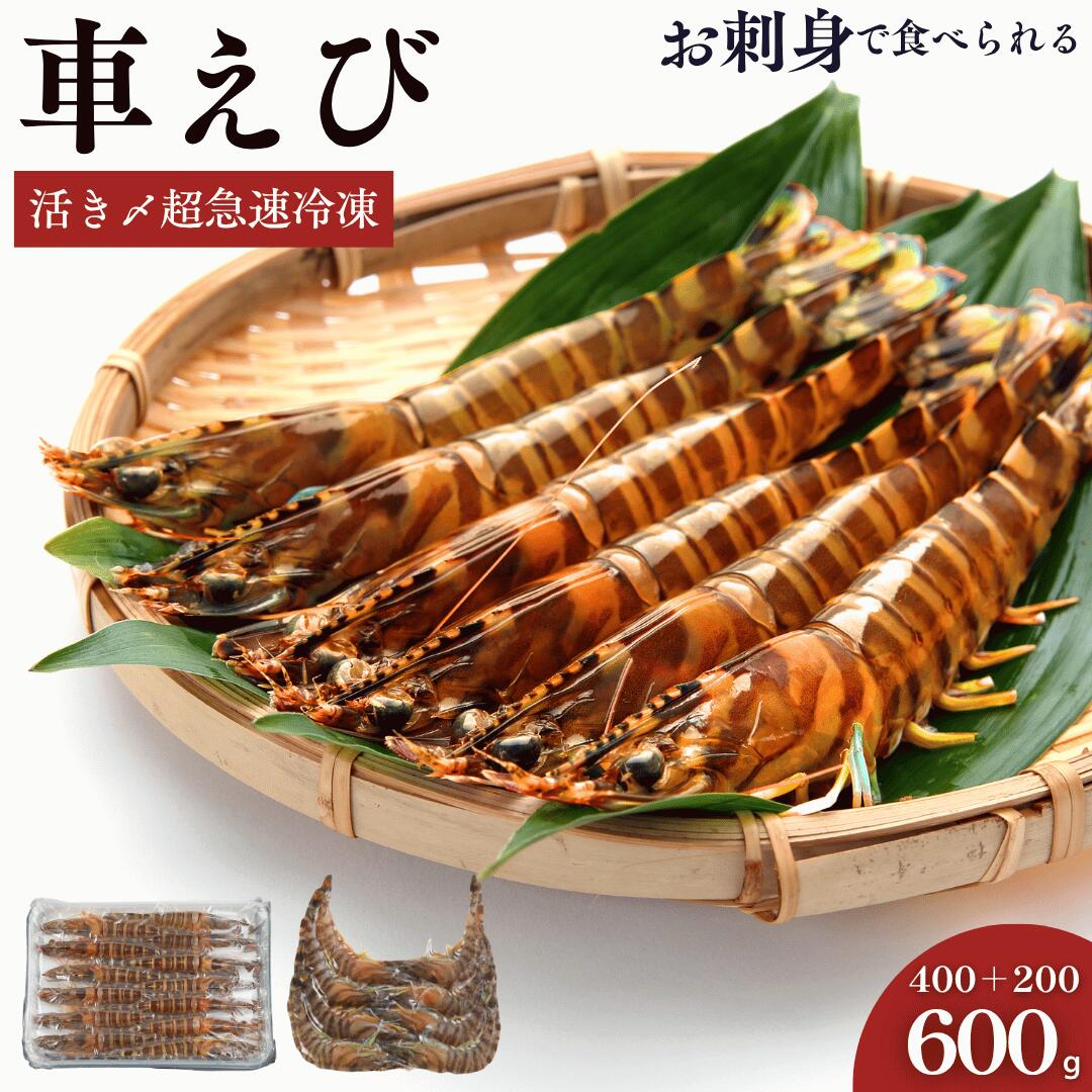 名称 活き〆超急速冷凍車えび(養殖) 原材料 車海老　養殖(山口県産) 内容量 600g 産地名 山口県秋穂産 養殖・解凍 解凍 消費期限 別途商品ラベルに記載 保存方法 冷凍(-18℃以下)で保存してください。 加熱調理の必要性 解凍後生食でお召し上がりいただけます。 加工事業者名 渡辺水産有限会社 山口県山口市秋穂二島437番地 栄養成分表示(100g)当たり 熱量:90Kcal、タンパク質:21.6g、脂質:0.6g、炭水化物:0g、食塩相当量:0.4g ※推定値