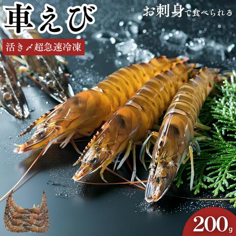 名称 活き〆超急速冷凍車えび(養殖) 原材料 車海老　養殖(山口県産) 内容量 200g 産地名 山口県秋穂産 養殖・解凍 解凍 消費期限 別途商品ラベルに記載 保存方法 冷凍(-18℃以下)で保存してください。 加熱調理の必要性 解凍後生食でお召し上がりいただけます。 加工事業者名 渡辺水産有限会社 山口県山口市秋穂二島437番地 栄養成分表示(100g)当たり 熱量:90Kcal、タンパク質:21.6g、脂質:0.6g、炭水化物:0g、食塩相当量:0.4g ※推定値