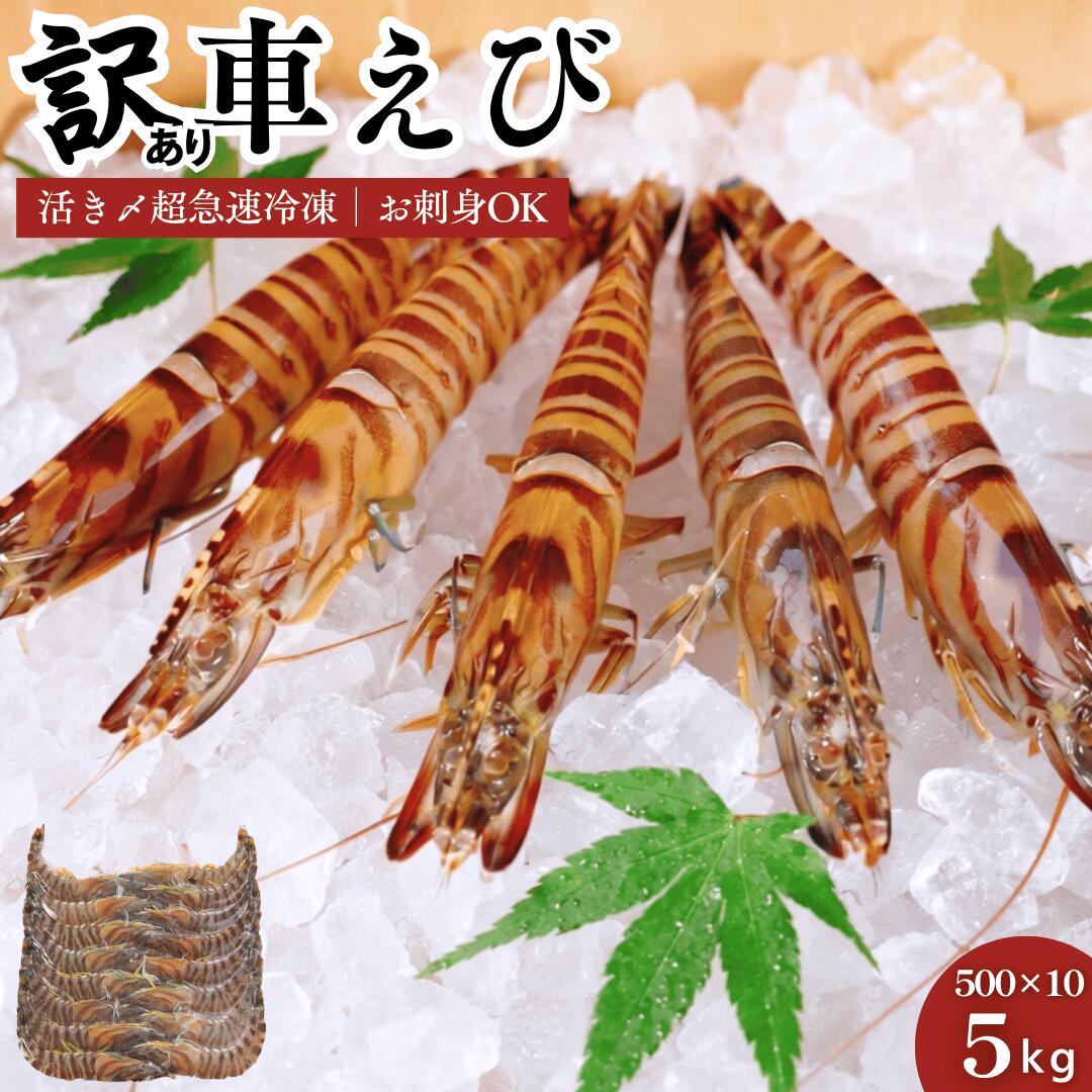 名称 活き〆超急速冷凍車えび(養殖) 原材料 車海老　養殖(山口県産) 内容量 5kg 産地名 山口県秋穂産 養殖・解凍 解凍 消費期限 別途商品ラベルに記載 保存方法 冷凍(-18℃以下)で保存してください。 加熱調理の必要性 解凍後生食でお召し上がりいただけます。 加工事業者名 渡辺水産有限会社 山口県山口市秋穂二島437番地 栄養成分表示(100g)当たり 熱量:90Kcal、タンパク質:21.6g、脂質:0.6g、炭水化物:0g、食塩相当量:0.4g ※推定値