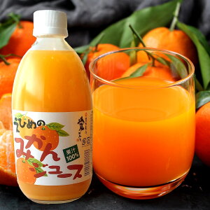 愛媛 果汁100% 温州みかん ストレートジュース みかんジュース (500ml×12本セット) 愛媛 ミカンジュース みかんじゅーす ジュースセット 高級 みかん ジュース フルーツジュース 無添加 ストレート