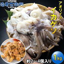 アオリイカゲソ1kg 2/4サイズ 柔らかくて甘みが強い!約2〜4個入り アオリイカげそ アオリイカ イカ下足 いか げそ いかげそ 冷凍 冷凍イカ いかの足 イカ足 下足 烏賊 イカゲソ串 おつまみ BBQ食材 バーベキュー 塩焼き あげ 唐揚げ ゲソ天 ゲソから 煮物 BBQ 魚介類 業務用(4)