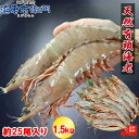 天然 有頭海老 1.5kg 25尾 長さ20cm級!有頭エビ 特大 ...