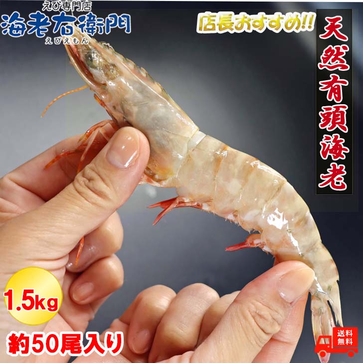 天然 有頭海老 1.5kg 50尾 長さ16cm！ 海老 フラワー エビ 有頭 冷凍 有頭エビ 特大 えび 冷凍えび 高級 海鮮 冷凍エビ 足赤エビ クマエビ 天然エビ 大海老 鉄板焼 バーベキュー 天ぷら えび天ぷら エビ天ぷら エビ天 塩焼き お取り寄せ 業務用食材 業務用冷凍食品 業務用