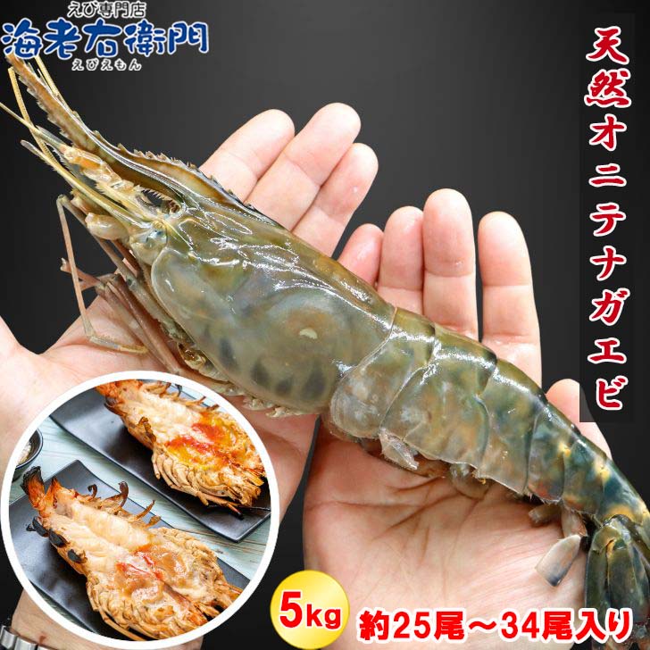 Homard （Lobster） - 天然オニテナガエビ 超超特大サイズ 約25尾～34尾入り 150/200gサイズ 5kgです。 業務用 アジアンロブスター 特大 巨大 天然海老 天然えび 有頭えび 海老 プリプリ バーベキュー えび 冷凍エビ エビ グリル カレー テルミドール エビフライ えびちり エスニック料理