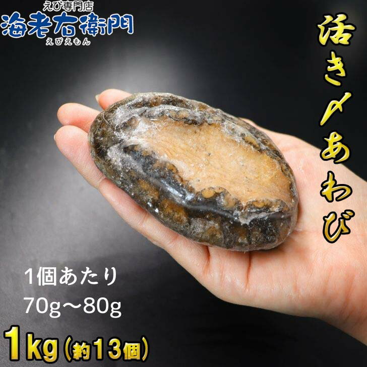 �褭���ܰФ���� 1kg ��13�� 70-80g(1��) ������ ���ɿȤ䥹�ơ����ˡ� ����̵�� �ܿ� ��̳�� ������ ���դ������ ��������� �ܰ�� ����� � ���� ���ɿȡ��¿��������������������ڡ������ɥ֥롦�ե����������ꥢ�󡦥ܥ���졼