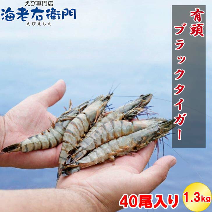有頭 ブラックタイガー海老 40尾入り 1.3kg 活〆ブラックタイガー 有頭えび えび 海老 エビ BT 冷凍 大きい 冷凍エビ エビフライ用 天ぷら エビ天ぷら えびちり バーベキュー まとめ買い ジャンボ エビフライ ギフト 業務用