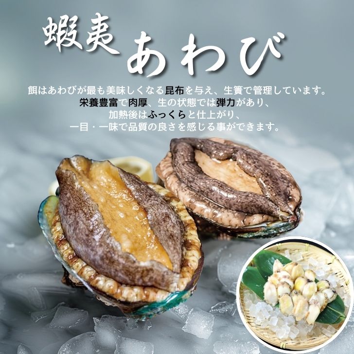 �褭���ܰФ���ӥ��饤���ʻɿ��ѡ�120g 20�������6g/1��� ��̵�� ���ढ��ӥ��饤�� ���ह������ǿ��٤��� ��®���� ���ʥͥ� ����Ч ��������� �ܰ�� ����� � ���� ���ɿ� �¿� ������ ����� ��� �����ɥ֥� �ե��� �����ꥢ�� ���Ĥޤ� ���Ƥ� ��̳��