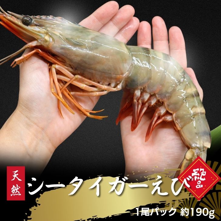 天然 シータイガー海老 1尾 約30cm 約190g 個包装 超特大 有頭海老 海老 冷凍 えび エビ BBQ バーベキュー エビフライ 天ぷら 塩焼き ..