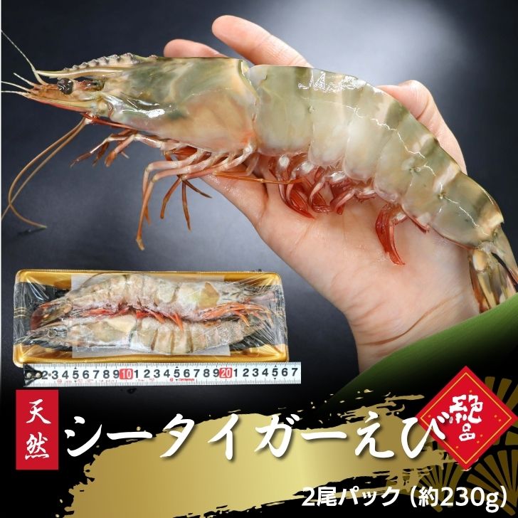 Other - 天然 シータイガー海老 2尾パック 1尾 約25～27cm 約115g×2尾入り 超特大 有頭海老 海老 冷凍 えび エビ BBQ バーベキュー エビフライ 天ぷら 塩焼き テルミドール 高級 seafood 特大えび ギフト お取り寄せ