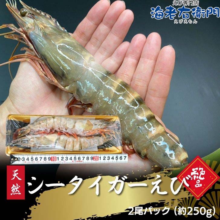 楽天市場】オニ テナガエビ 養殖の通販
