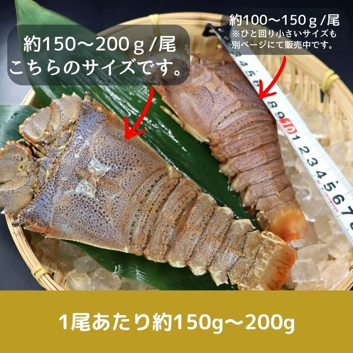 サンプル画像2