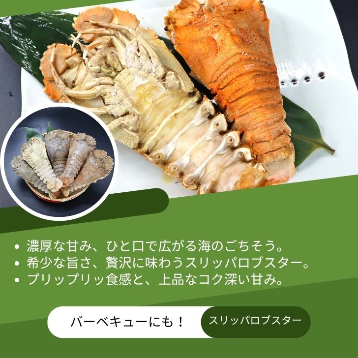 サンプル画像3