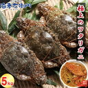 メス限定!極上のワタリガニ 匹200-300g 5kg (1kg約4-5匹)メス イタリアン 韓国料理 カンジャンケジャンにも人気 パスタ カレー わたりがに ワタリガニ 渡り蟹 蟹 カニ かに パスタ チゲ カニ飯 パエリア 冷凍 スリランカ産 加熱用 業務用
