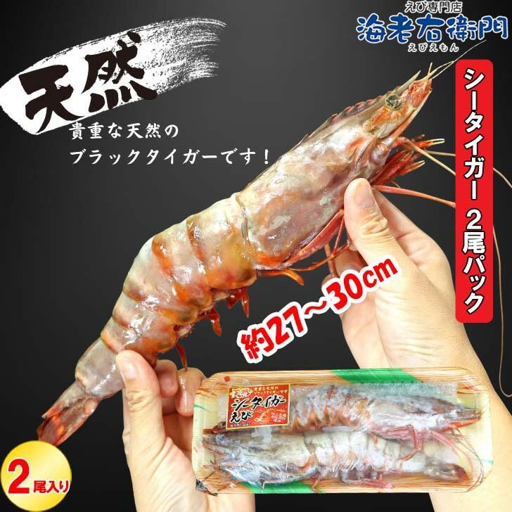 超超特大！船内凍結の高い鮮度！天然有頭シータイガーえび （2尾入り）バングラデッシュ 8尾サイズ 特大 ゆうとう 海老 エビ 大きい 冷凍えび バーベキュー 有頭エビ 美味しい海老 船凍品 冷凍エビ 巨大 特大エビ カード無料 少量パックのサムネイル