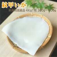 刺身用紋甲いか