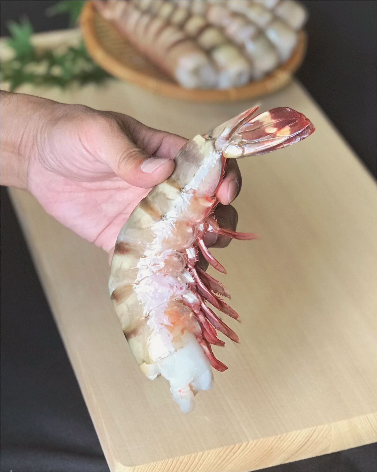 超BIG 天然海老 大きい海老なら シータイガー 超特大エビ 特大海老 1.8kg 12~16尾入り ジャンボエビフライに【高品質 えび 大きい 海老 おすすめ 冷凍海老 特大 エビ シータイガー 肉厚 ぷりっぷり】