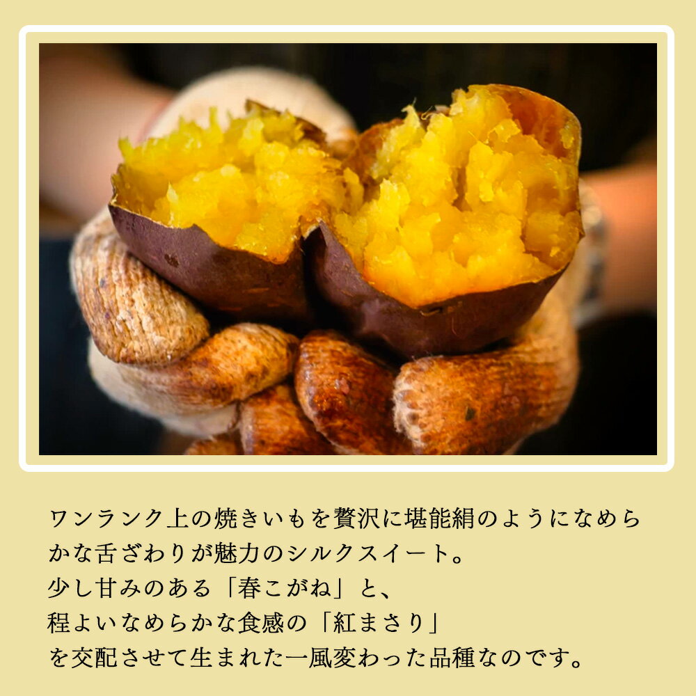 ���Ĥޤ��� 2KG/3KG/5KG �������� �ȤϤ뤫 ���� �������� ���륯�������� ���ޤϤŤ� ���ĥޥ��� �Ƥ���� ���ո�����븩���ϸ��� ��̣���� �䤭����� ��ʪ���� ���� ��������