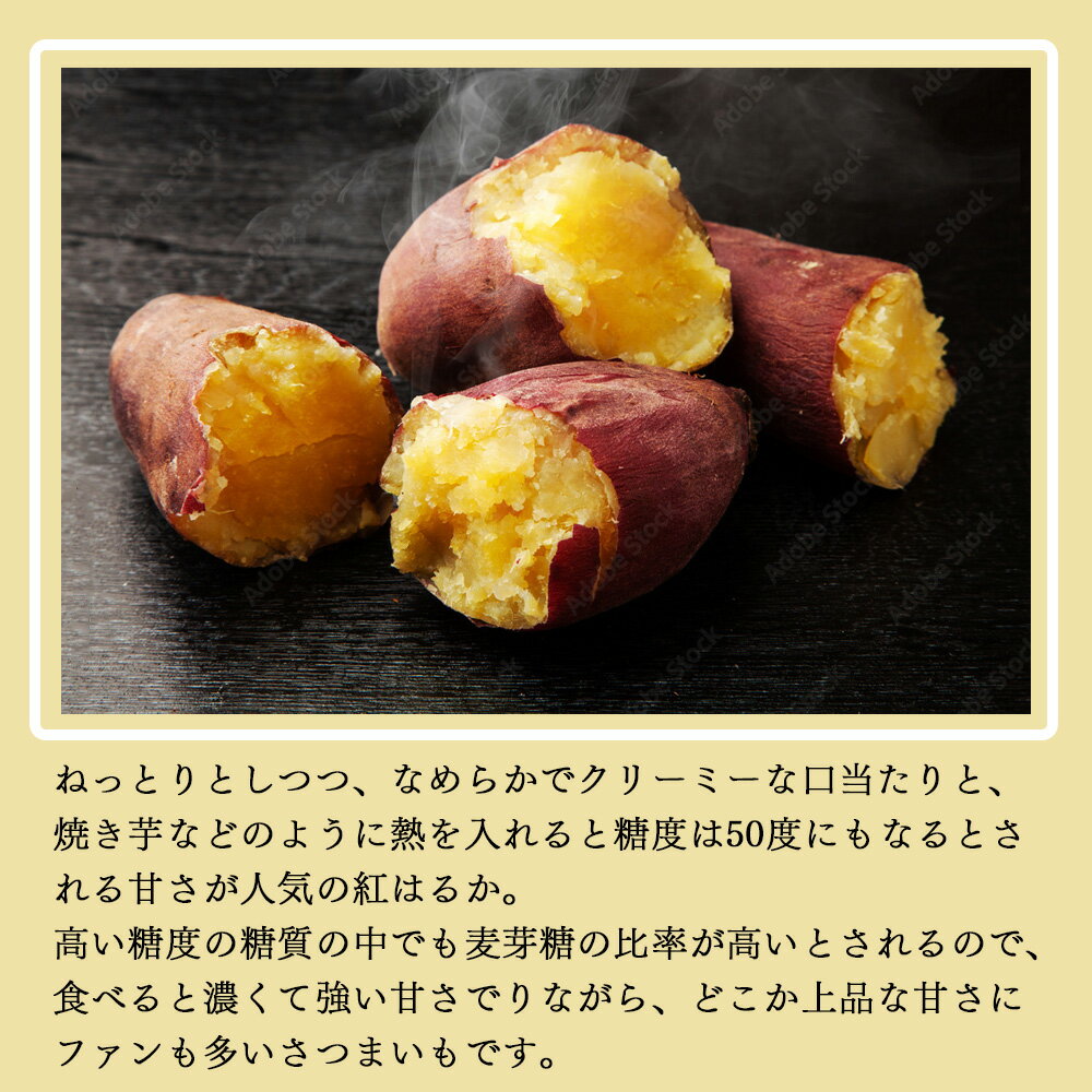 �ڻ��Ϥ��ľ���ۤ��Ĥޤ��� �ȤϤ뤫 2kg/5kg ��M/L/2L�����������հ�븩�� ������ �Ť��Ƥ���ʤɤ� ���ĥޥ��⡡ͥ��