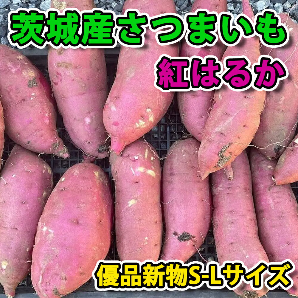 楽天市場】紅はるか 苗 茨城の通販 楽天市場】紅はるか 苗 茨城の通販